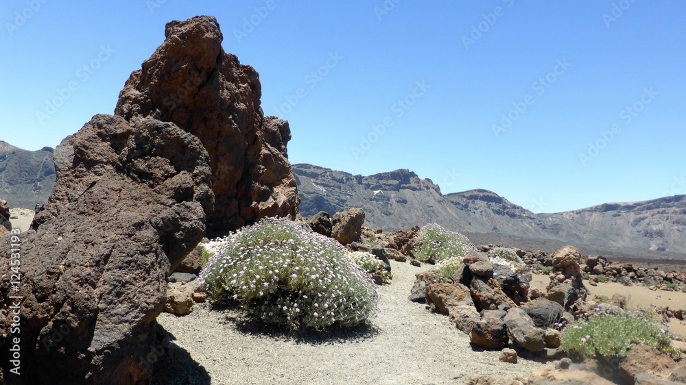 Wüstenlandschaft Teneriffa