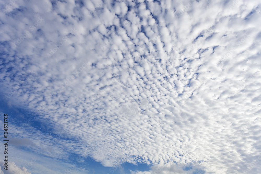 Obraz premium blue sky and cloud.