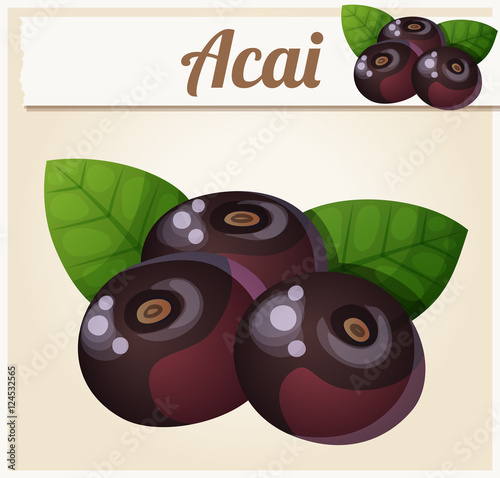 Acai berries illustration. Cartoon vector icon. Series of food and drink and ingredients for cooking.