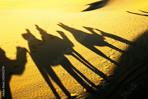 Shadows in the desert 1 photo