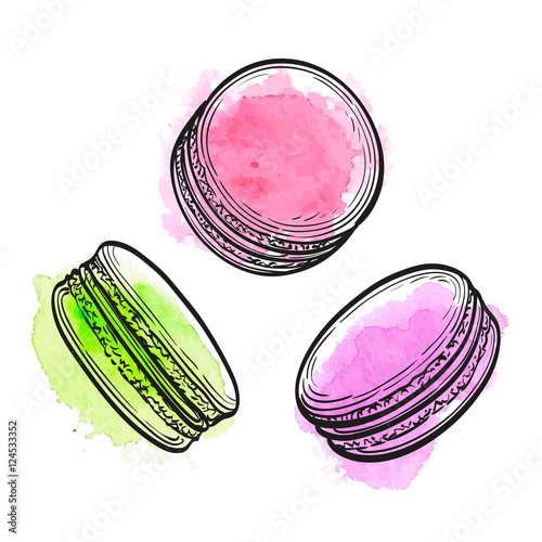Vector illustration of macaroons