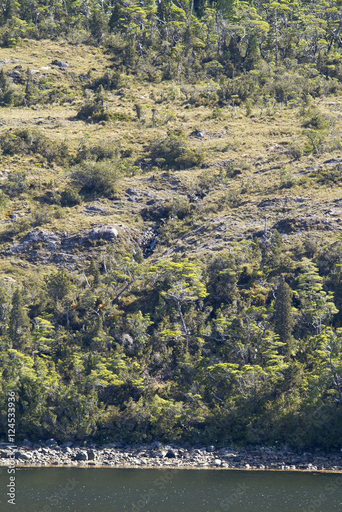 Chilean Fjords And Sarmiento Channel