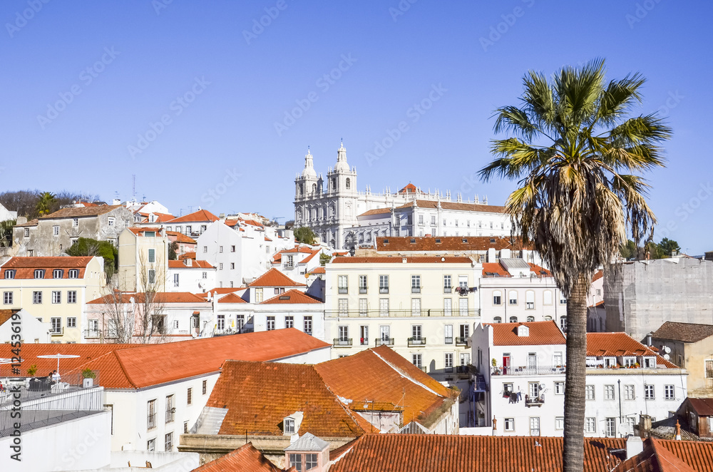 Red tiled roofs of Lisbon. Cityscape at the Alfama District, Portugal