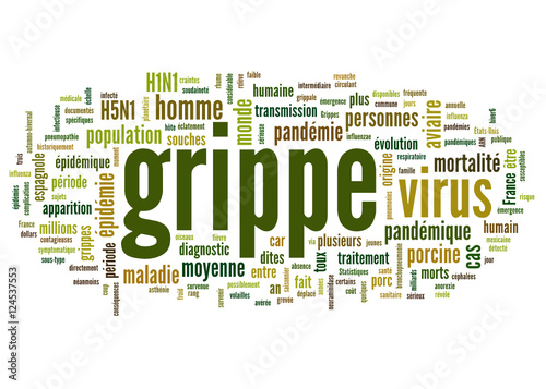 grippe (influenza)