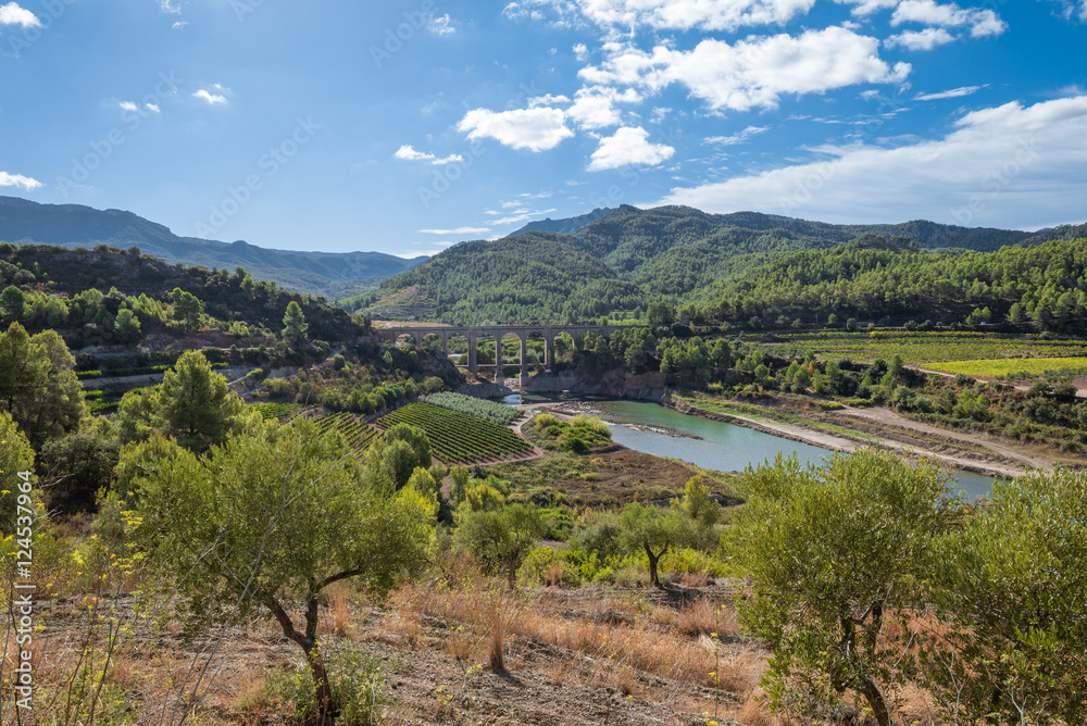 Railroad bridge pass the Pantà dels Guiamets, an important water supply in the region for the wine-growing area around Capçanes and Falset. Villages in the Montsant area in the cormaca Priorat