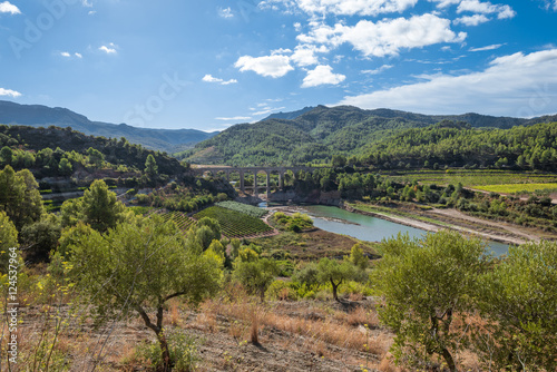 Railroad bridge pass the Pantà dels Guiamets, an important water supply in the region for the wine-growing area around Capçanes and Falset. Villages in the Montsant area in the cormaca Priorat