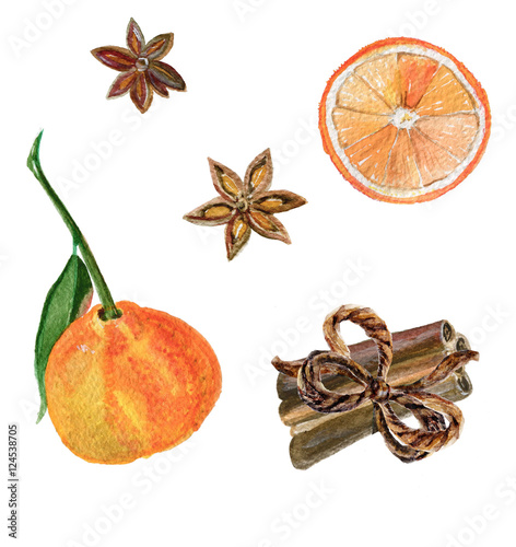 Watercolor Painting Christmas Set Mandarin Cinnamon Star Anise Stock Illustration Adobe Stock