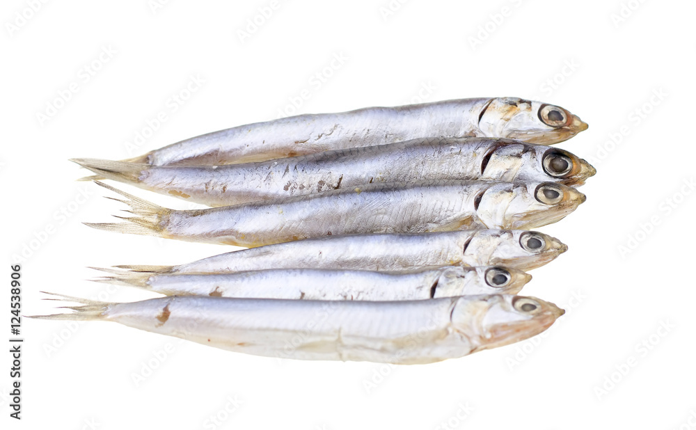 European salted anchovies isolated on white background European salted anchovies isolated on white background