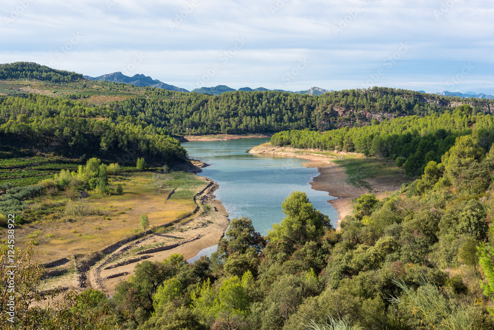 Water reservoir close to the village Capçanes in the the cormaca Priorat, province of Tarragona. The reservoir, named Pantà dels Guiamets, signifies Swamp, is an important water supply in the region