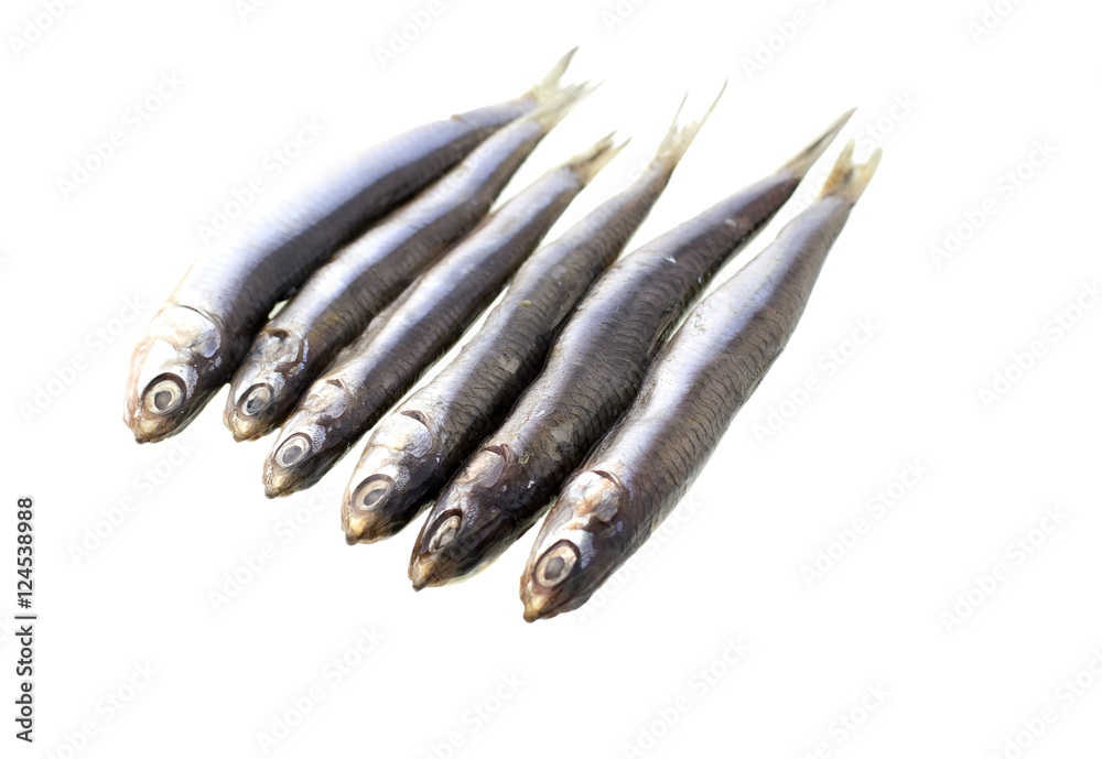 European salted anchovies isolated on white background European salted anchovies isolated on white background