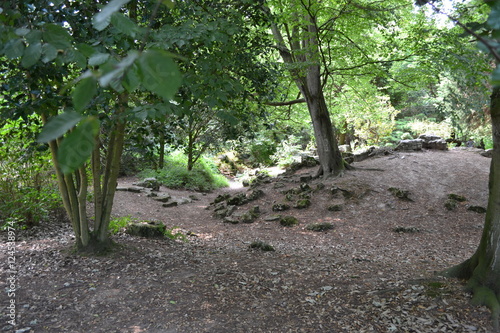 Garden, Path, Nature 
