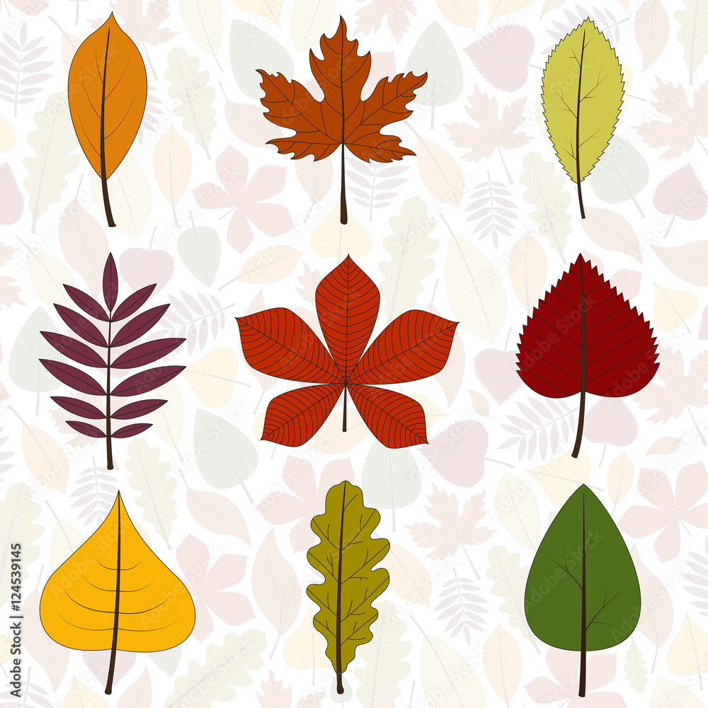 Set of autumn leaves on a background of leaves