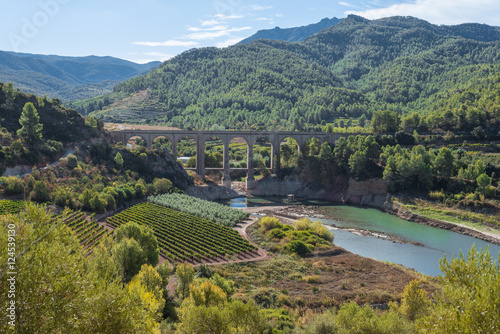 Railroad bridge pass the Pantà dels Guiamets, an important water supply in the region for the wine-growing area around Capçanes and Falset photo