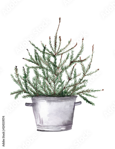 Christmas tree in the zinc pot panted with watercolor on paper.Rustic style.