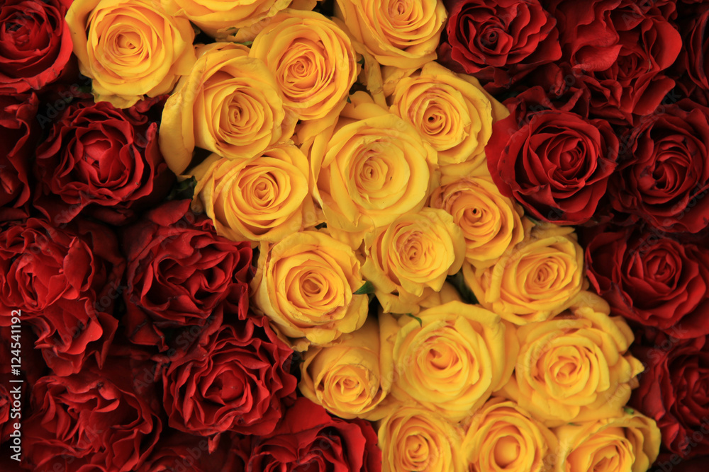 Fototapeta premium red and yellow roses in a wedding arrangement