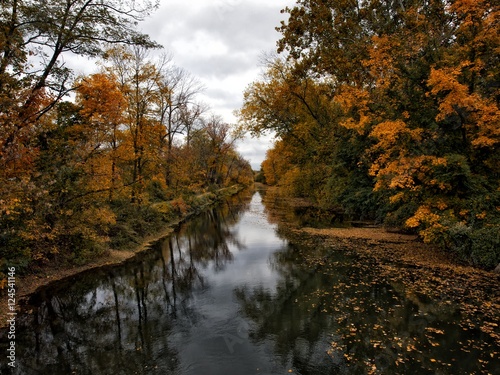 Autumn Leaves Along A Canal