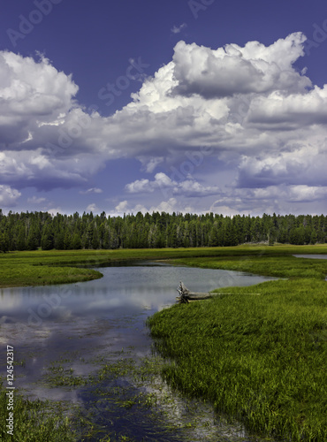 Rzeka Yellowstone