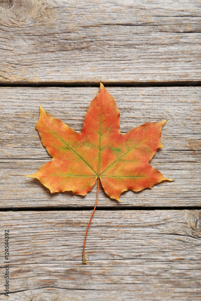Autumn leaf on grey wooden table Autumn leaf on grey wooden table
