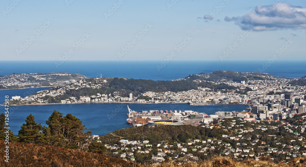 Beautiful view of Wellington city from the top of mount Kau Kau