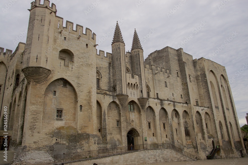 Avignone palazzo dei papi