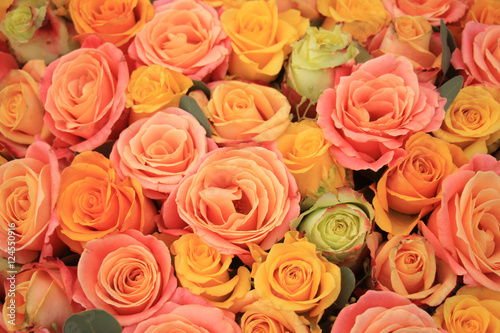 Yellow and orange roses