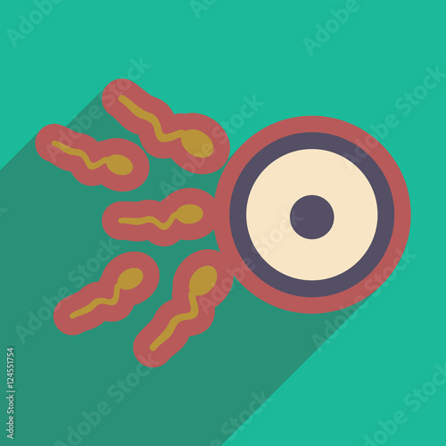 flat icon with long shadow sperm and egg
