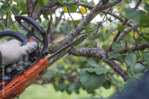 Wallpaper Mural Potatura agricola Torontodigital.ca