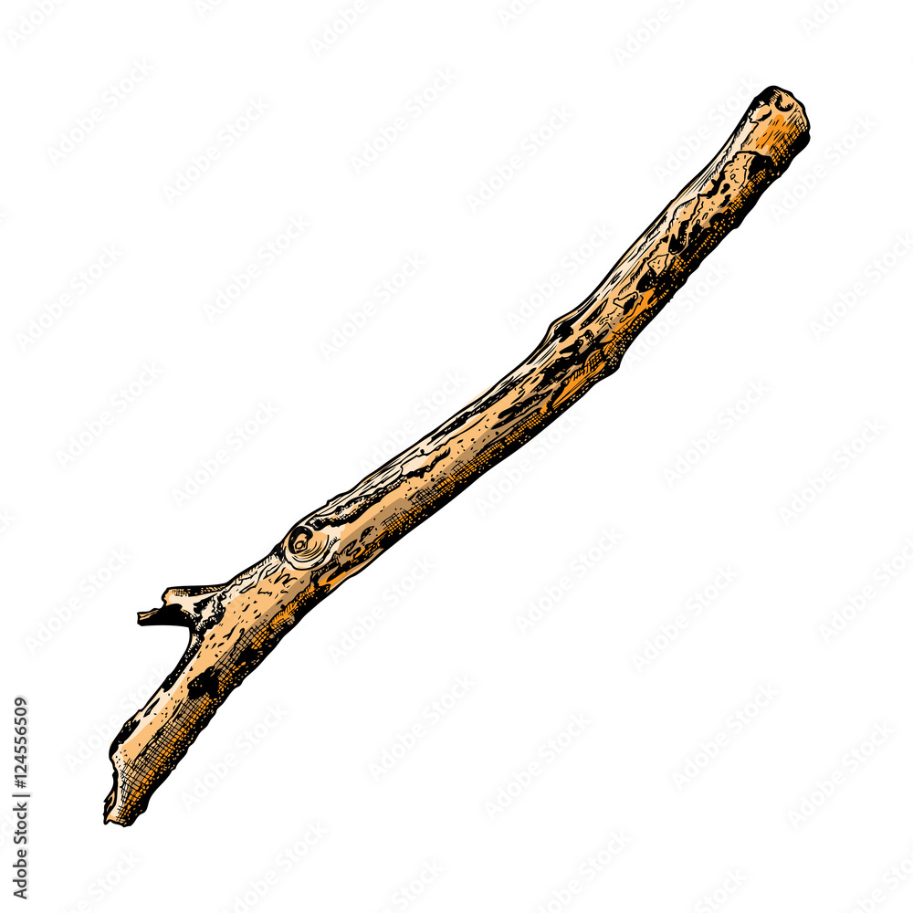 Hand painted watercolor imitation and drawn twig, tree branch isolated on white background. Hand painted watercolor imitation and drawn twig, tree branch isolated on white background.