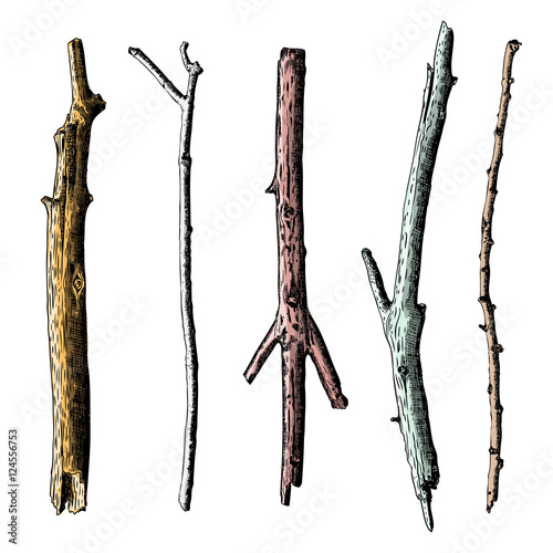 Watercolor Wood Sticks And Stumps Set Hand Drawn Tree Branches
