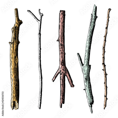 Set of ink drawing and painted wood twigs, isolated watercolor imitation tree branches, sticks, handmade illustration.