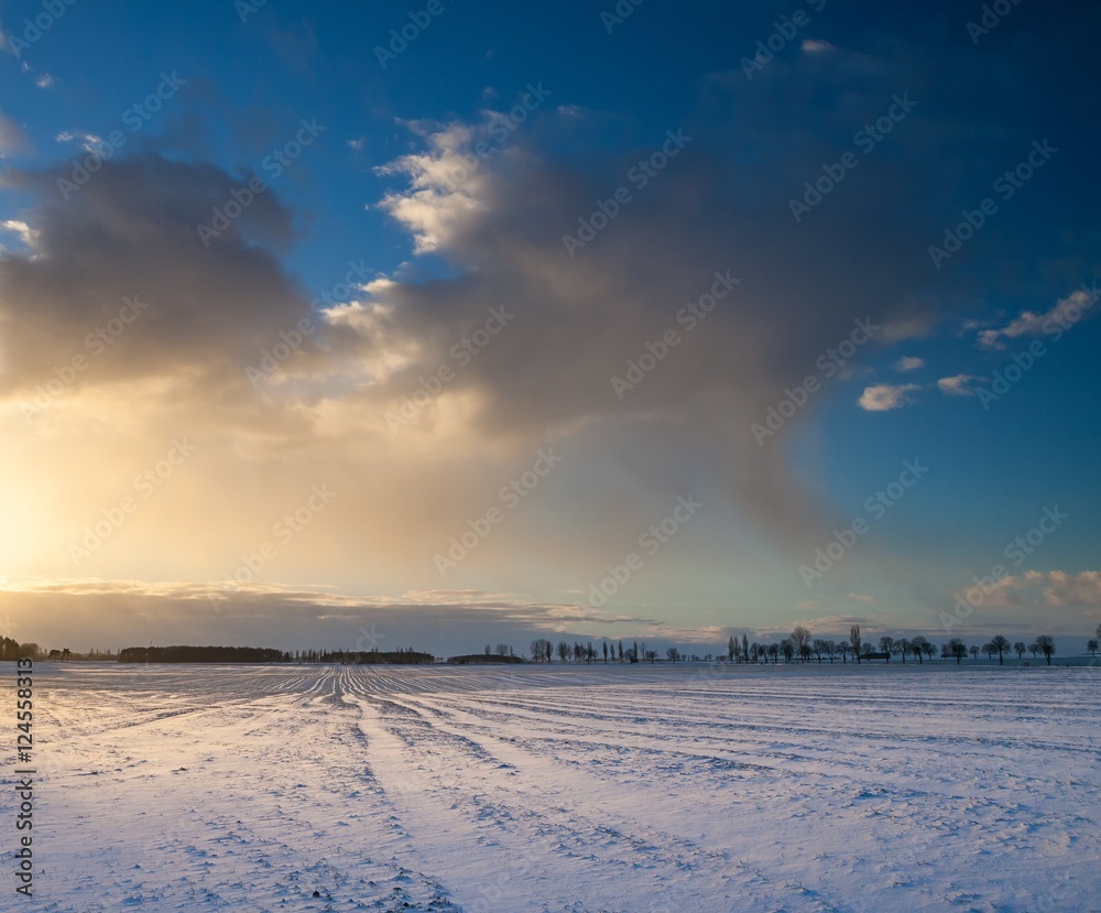 Beautiful winter field landscape