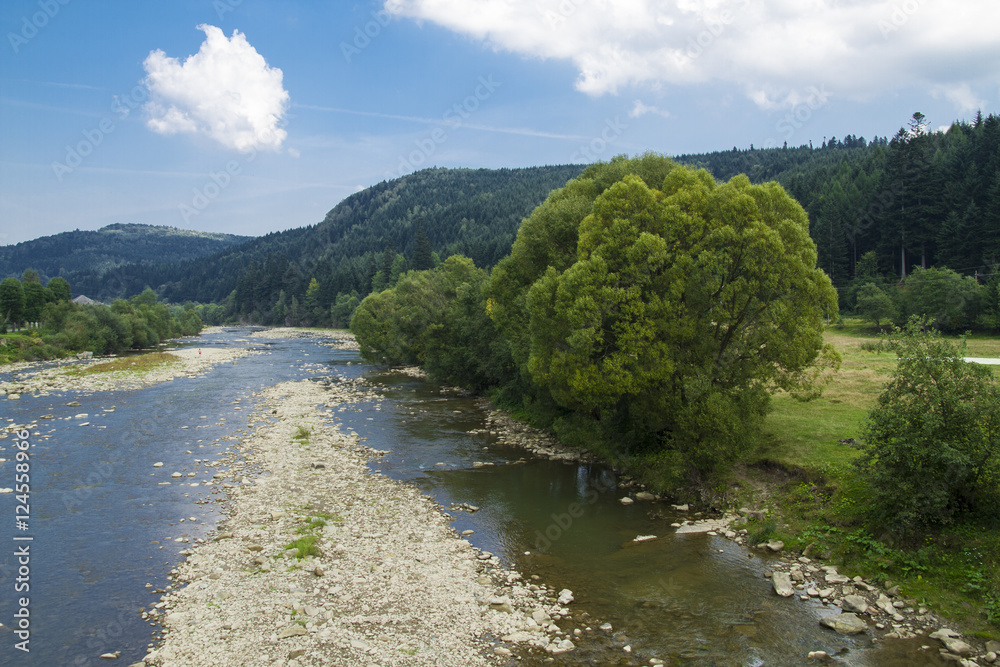 Mountain beautiful River in the Carpathians
