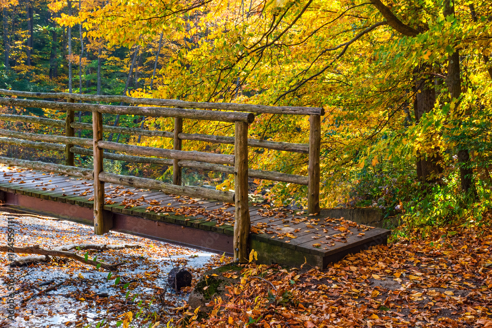 Footbridge Over Creek