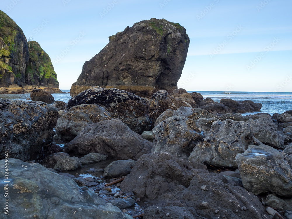 Ruby Beach Ruby Beach