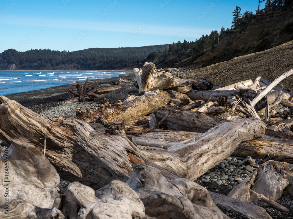 Washington Coast & Ocean