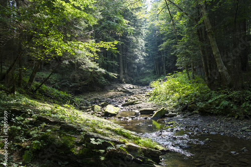 Mountain beautiful River in the Carpathians