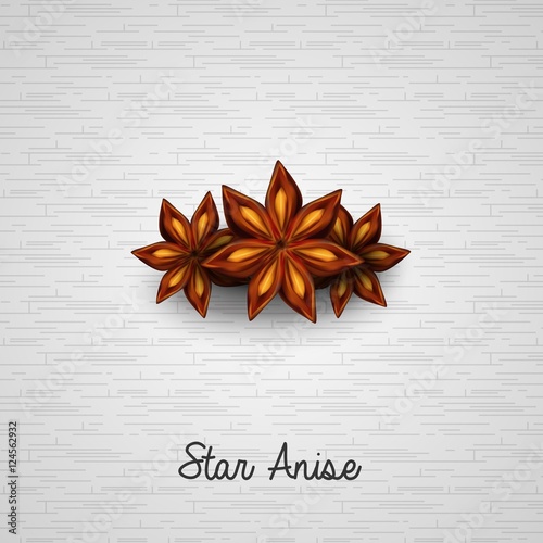 Star anise  on white background