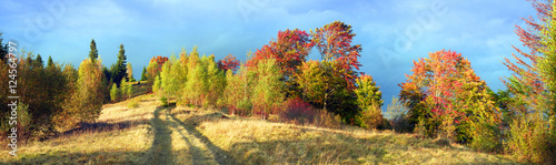 In the Carpathians, golden autumn