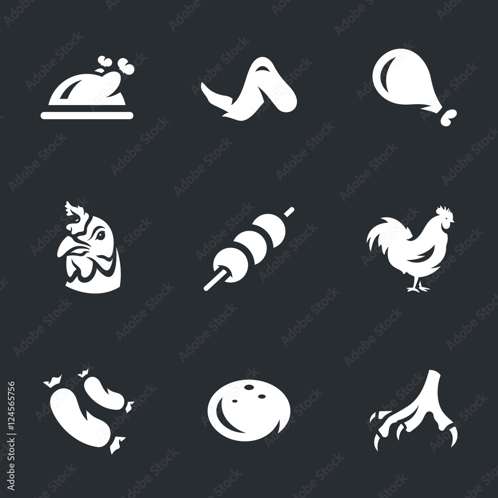 Vector Set of Chicken. Vector Set of Chicken.