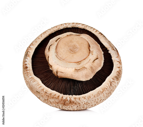 portobello mushroom isolated on the white background