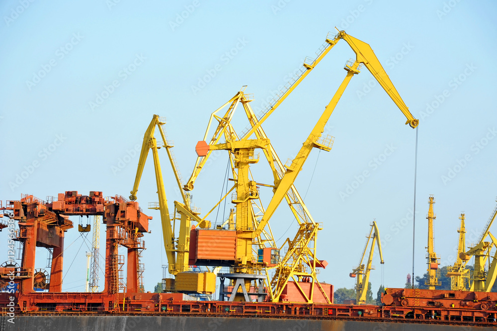 Bulk cargo ship under port crane