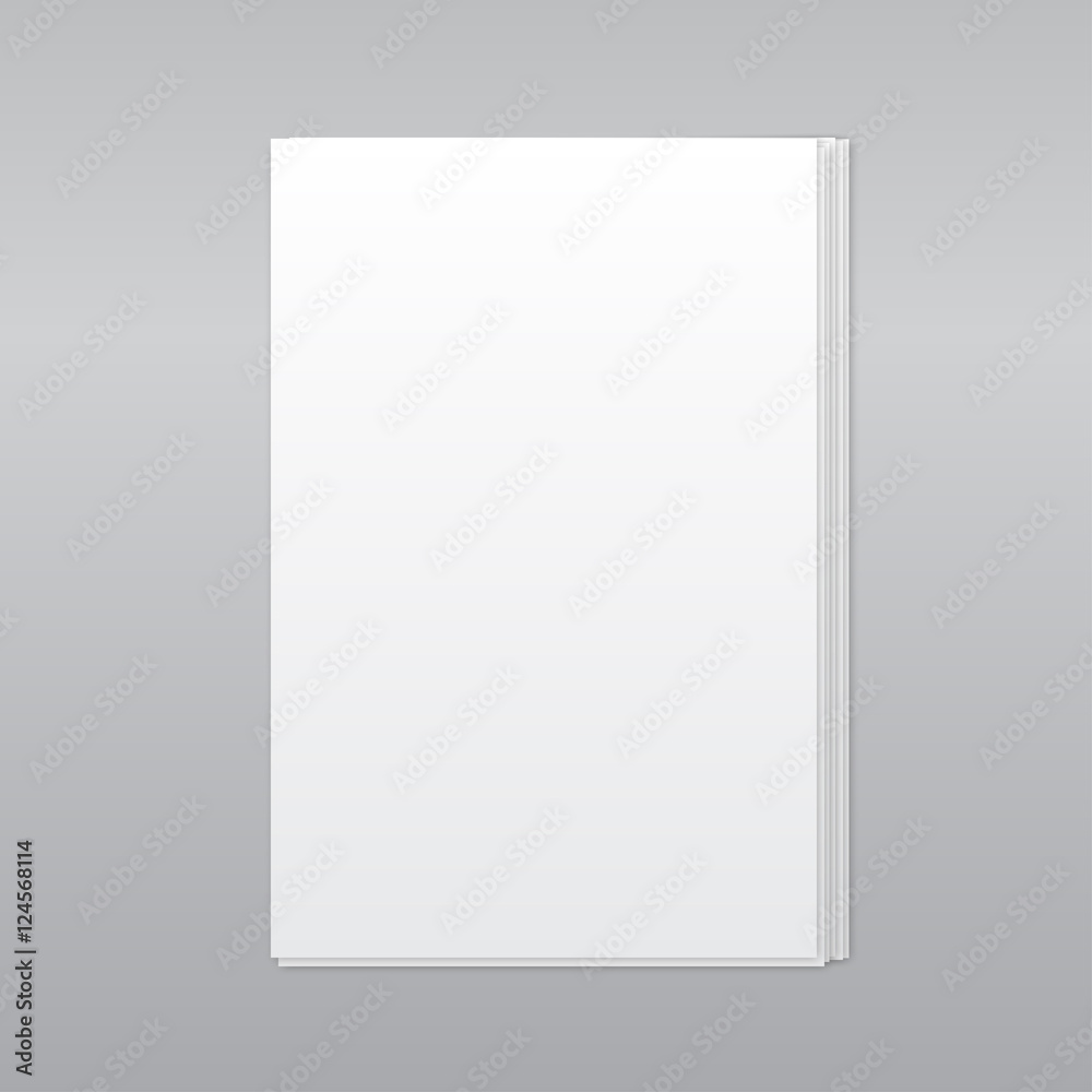 Paper Rectangle Banner Vector. Mock Up. A4.