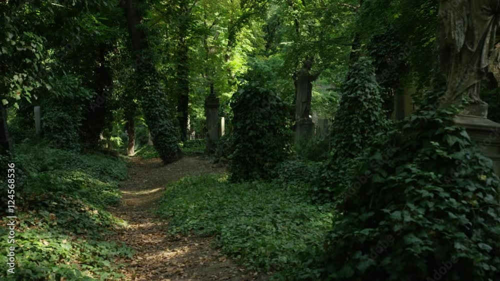 Moving backwards down a path in a cemetery with vine covered headstones and statues. Prague, Czech Republic. 4k. Moving backwards down a path in a cemetery with vine covered headstones and statues. Prague, Czech Republic. 4k.