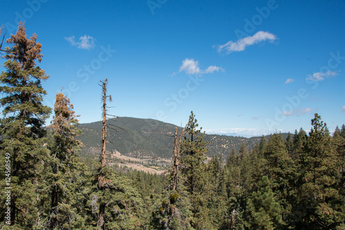 Views from Mount Pinos, California