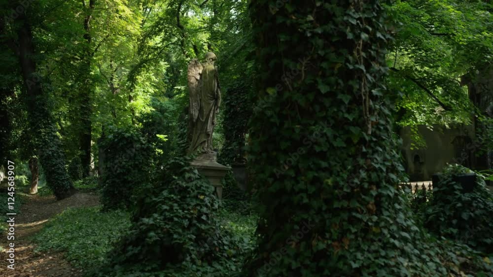 Moving shot from looking to the forest above to vine covered headstones and statues in a cemetery. Prague, Czech Republic. 4k. Moving shot from looking to the forest above to vine covered headstones and statues in a cemetery. Prague, Czech Republic. 4k.