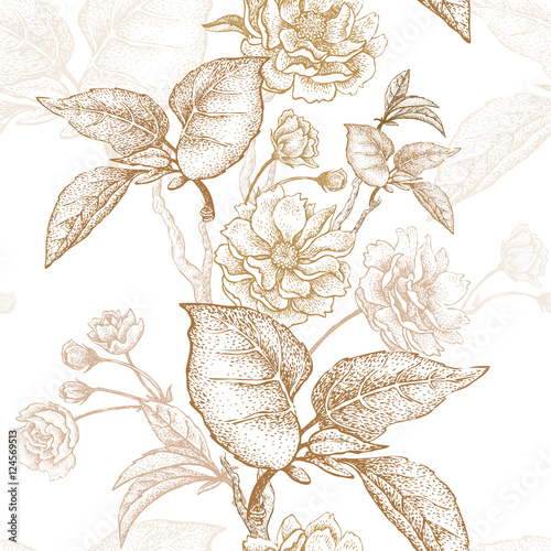 Gold embroidery on a white background. Vector illustration based on the Chinese luxury fabrics. Hand drawing of a flowering plum tree, flowers, branches and leaves. Vintage.