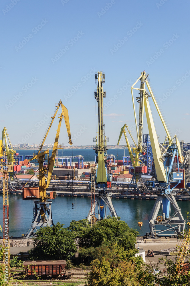 Cranes in Commercial Sea Port
