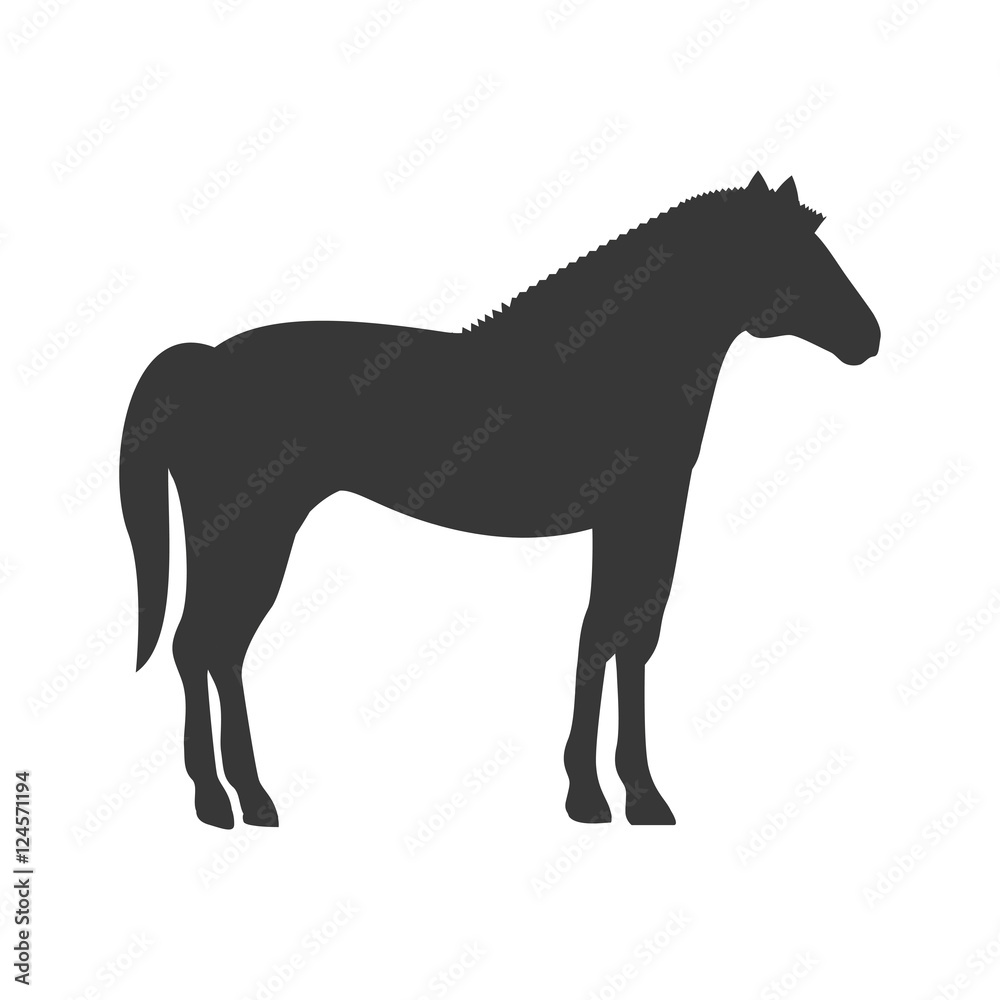 silhouette with horse domestic animal vector illustration