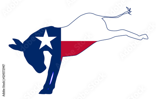 Texas Democrat Donkey Flag
