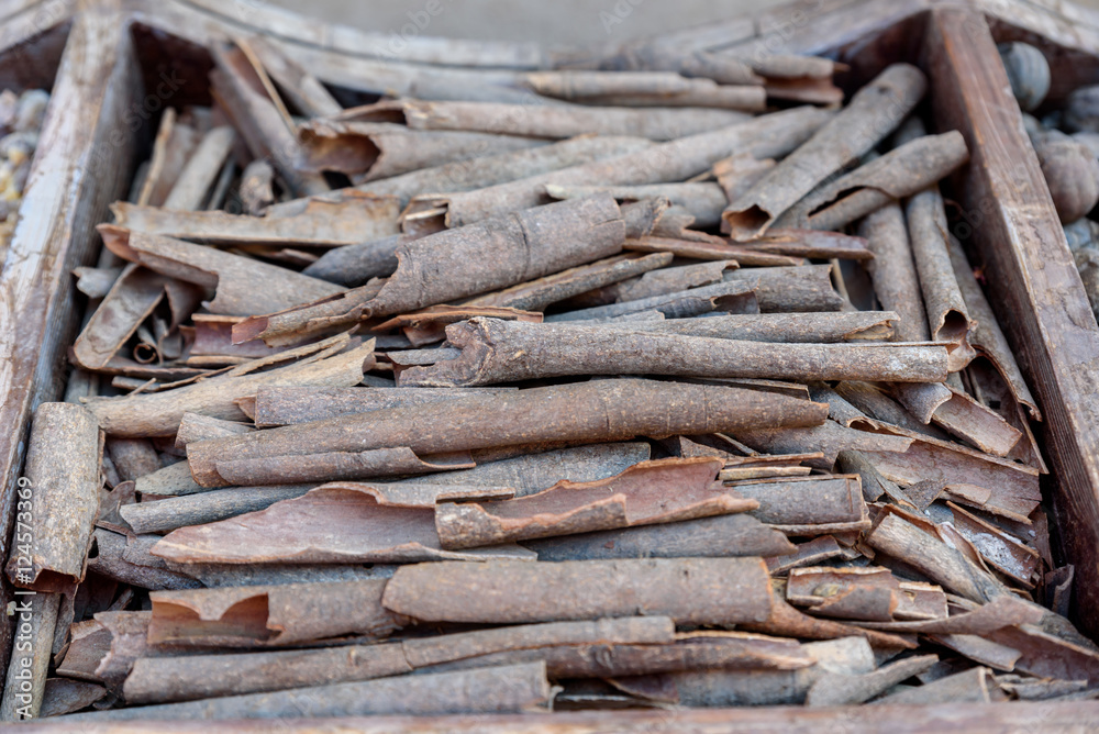 Cincamon sticks - spice for cooking and backing Cincamon sticks - spice for cooking and backing
